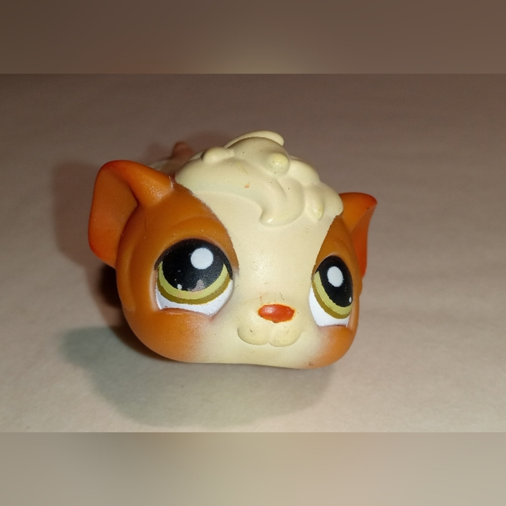 Lps Littlest Pet Shop toy guinea Pig #213